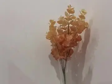 Heilysmile  live sex cam