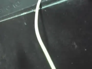 Geo_and_naima  live sex cam