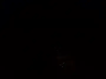 Freakknasstyy  live sex cam