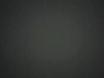Pweetyp  live sex cam