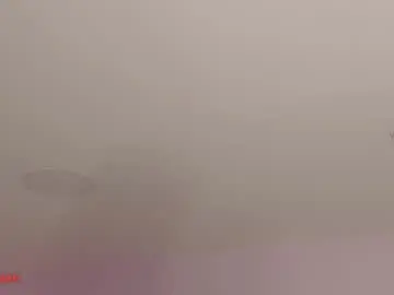 Sophiarossee  live sex cam