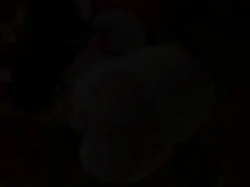 Tiffanymena1  live sex cam