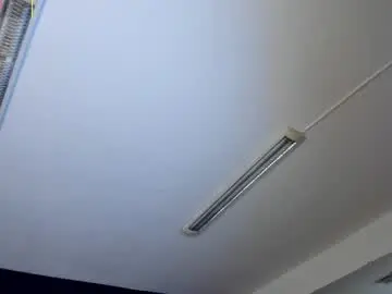 Saracorraless  live sex cam