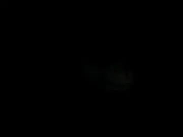 Dakota_crab  live sex cam