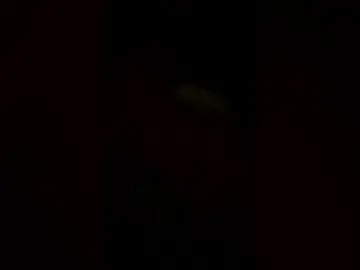 Sweetnic23  live sex cam