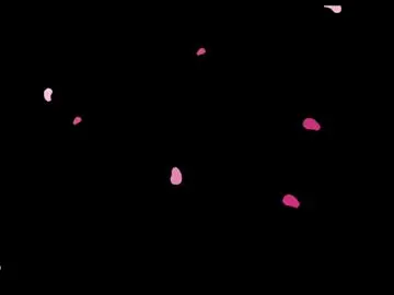 Nevermakeawish  live sex cam