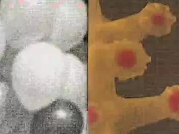 Vortexspecter  live sex cam