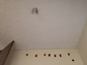 Barbiie_98  live sex cam