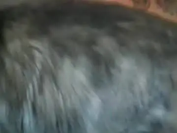 Bihippie1  live sex cam