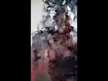 Meercyicelove  live sex cam