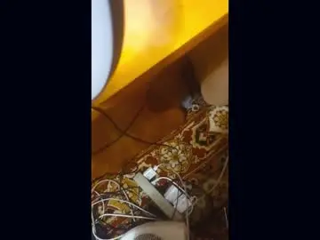 Ednatamlin  live sex cam