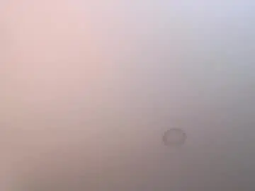 Amadamar  live sex cam