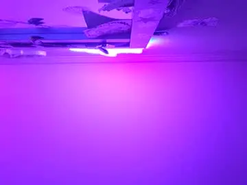 Yesdaddy576415  live sex cam