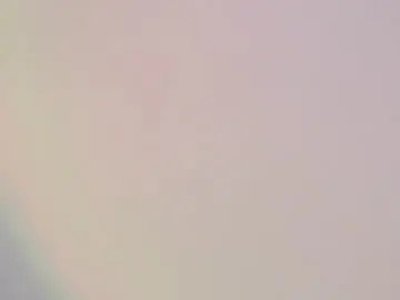 Seebunny  live sex cam