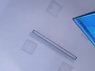 Sara_connde  live sex cam