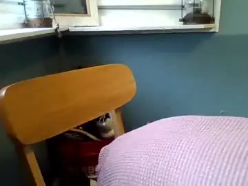 Hydiejo777  live sex cam