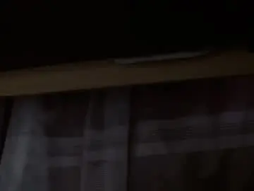 Zahi_willx  live sex cam