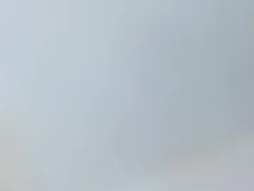 Zafiranavarro  live sex cam