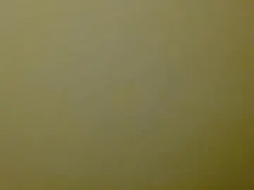 Charlot441979  live sex cam
