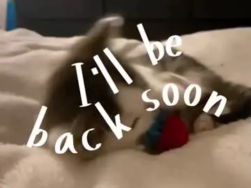 Ingerbrockney  live sex cam