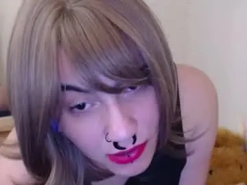 Nottooshabbymissgabby  live sex cam