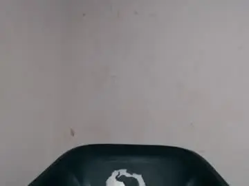 Pussyxcockx  live sex cam