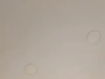 _maia_cute  live sex cam