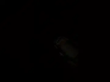 Ivybooty206  live sex cam