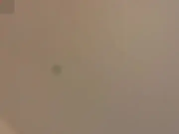 Kaylee_ee  live sex cam