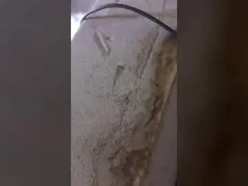 Audia7tt  live sex cam
