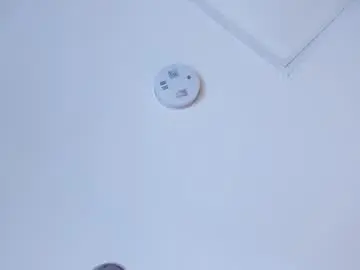 Dannavelvet  live sex cam