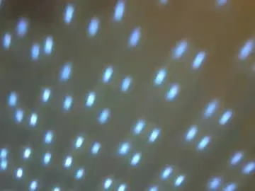 Misstemptress_1  live sex cam