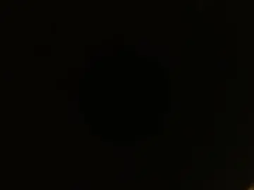 Avareece  live sex cam