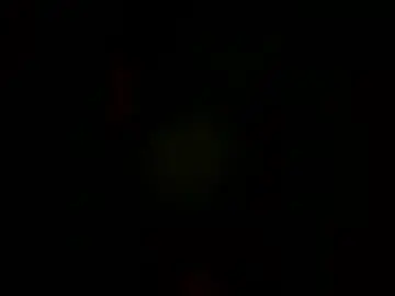Lilfreakyebony09  live sex cam
