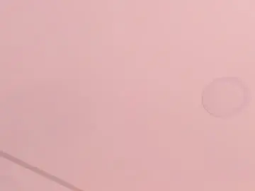 Mariapettit  live sex cam