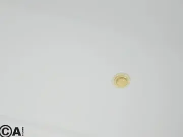 Adelina_bliss  live sex cam