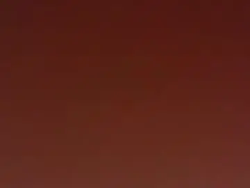 Littletitslilclit  live sex cam