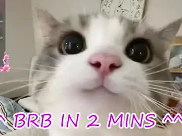 Crazy__wine  live sex cam