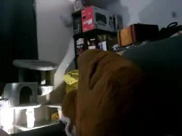 Mysteriouswoman18  live sex cam