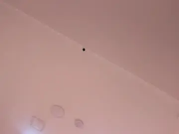 Selenanoir_  live sex cam