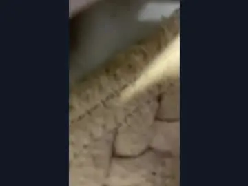 Jungcrager  live sex cam