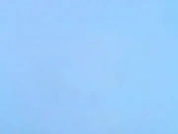 Nikolcruz  live sex cam