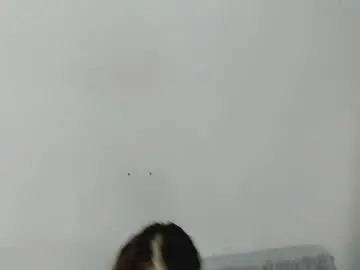 Obsidiva  live sex cam