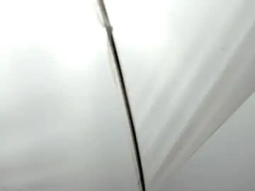 Leissybrooks  live sex cam