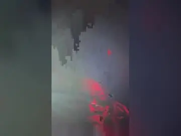 Serenity_overall  live sex cam