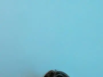 Lil_tiffani  live sex cam