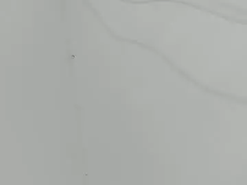 Dulce_rouse1  live sex cam