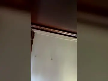 Beautifullovesoul  live sex cam