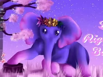 Mollymurrrr  live sex cam