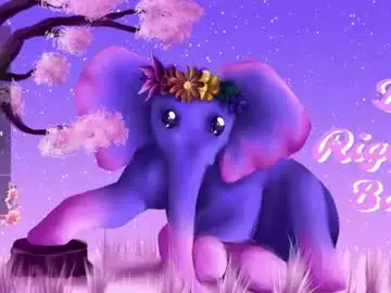 Mollymurrrr  live sex cam